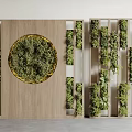 Wooden Framed Green Plant Wall With Circular Moss Design And Various Plants
