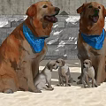Brown Dogs With Blue Bandanas Sitting On Sand With Puppies And Stone Wall