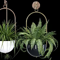 Hanging Garden Decor With Green Ferns In Black White Pots And Metal Hooks