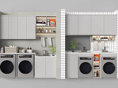 Modern Home Balcony Design With Washing Machines Cabinets Shelves And Green Plants 3d model