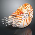 Modern Nautilus Shell Sea Shell Seafoil 3d model