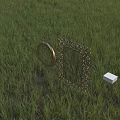 Rectangular And Circular Gold Frame Mirrors With Chain And Curved Designs Reflecting Green Meadow Trees 3d model