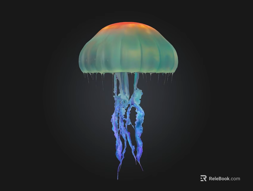 Stunning Vibrant Jellyfish with Orange Green Gradient Dome and Blue Flowing Tentacles Against Black Background 3d model 