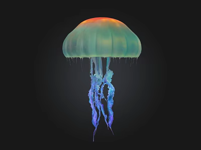 Stunning Vibrant Jellyfish with Orange Green Gradient Dome and Blue Flowing Tentacles Against Black Background 3d model
