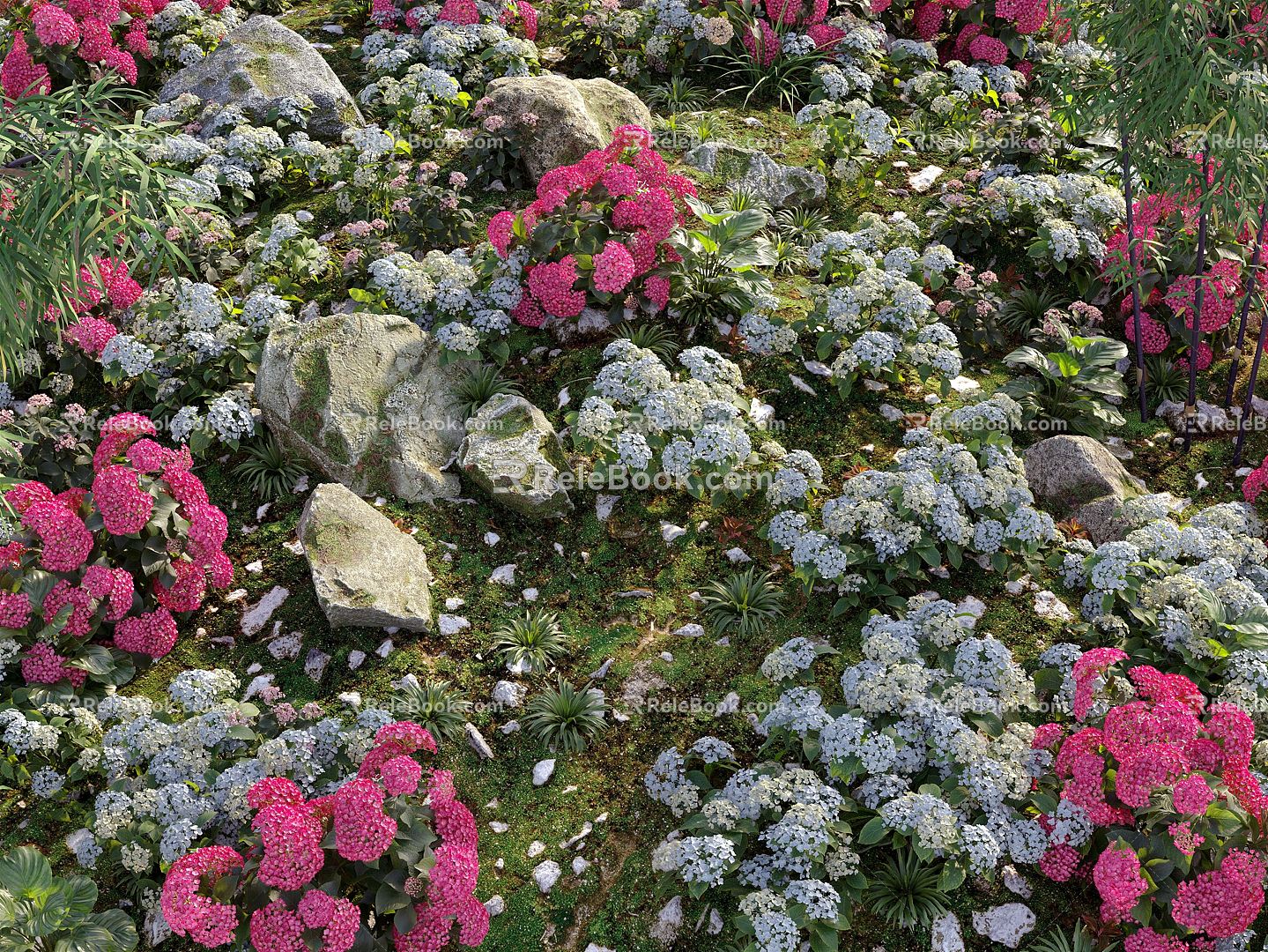 Modern Hydrangea Garden 3d model