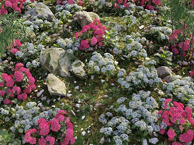 Vibrant Pink And White Flowers Growing In Garden With Stones And Green Grass 3d model
