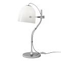 Modern Desk Lamp With Adjustable Silver Arm And White Glass Shade Design