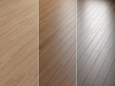 Wooden Flooring in Light Medium and Dark Tones for Modern Home Interiors 3d model