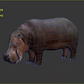 Hippopotamus 3D Model With Realistic Red Brown Skin Standing On Dark Surface