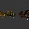 Natural Home Decor Branch with Green Leaves and Brown Pine Cones on Gray Background