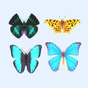 butterfly animal flying creature 3d model
