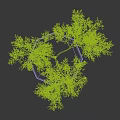 Ornamental Arbor Tree Planted in Hexagonal Stone Planter with Green Grass on Dark Background