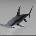Lifelike Blue Shark Model With Smooth Glossy Surface In Dark Reflective Background 3d model