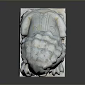 Traditional Stone Lion Statue With Intricate Carved Base And Detailed Features