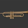 Golden Trumpet Decorative Ornament For Home Decor With Reflective Surface And Reflection
