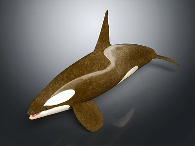 Modern Killer Whale Orca Killer Whale Killer Whale 3d model