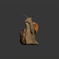 3D Rendered Snail With Spiral Brown Shell And Light Brown Textured Body