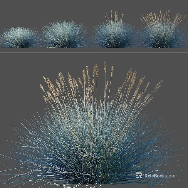 Blue Green Ornamental Grass In Various Forms For Landscape Decoration 3d model 