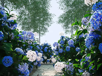Blue and white hydrangeas along the path with green trees in sunny garden 3d model
