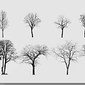 Black and White Tree Silhouettes with Various Shapes Against Light Gray Background