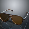 Stylish Modern Brown Frame Sunglasses With Dark Lenses Transparent Accents And Metallic Temples