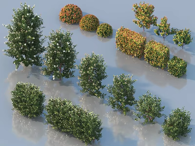 Diverse Shrub Varieties with Evergreen Foliage and Colorful Flowers for Garden Landscaping 3d model