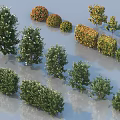 Diverse Shrub Varieties with Evergreen Foliage and Colorful Flowers for Garden Landscaping
