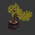 Bonsai Plant With Green Leaves And Brown Trunk In Gray Pot With Small Stones