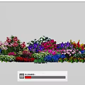 Colorful Mixed Flowers In Garden With Various Blooms And Green Foliage