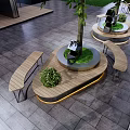 Circular Tree Planters With Green Trees And Surrounding Benches In Urban Square