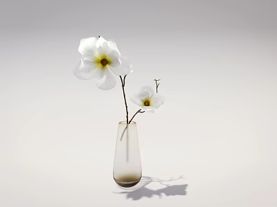 Transparent Glass Vase With White Flowers And Yellow Center On Minimalist Background 3d model