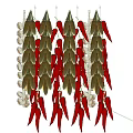 Natural Dried Hanging Corn and Red Chili Peppers as Vegetable Decorations