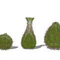 Beautiful Decorative Shaped Shrubs With Purple Flowers In Various Garden Forms