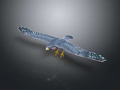 Falcon with Spread Wings and Yellow Talons Flying on Gray Background 3d model