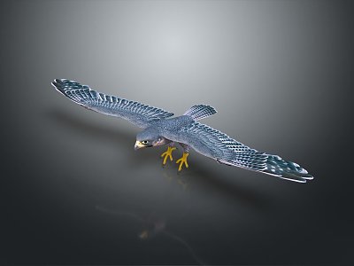 Modern Eagle Large Eagle Owl 3d model