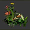 Colorful Flowers With Red Yellow Pink Orange Blooms Lush Green Leaves Against Gray Background Reflections