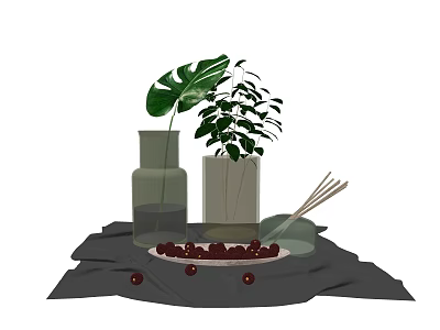 Decorative Glass Vases With Green Leaf Plants Red Berries On Plate And Dark Cloth 3d model