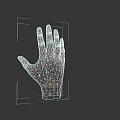 Realistic Human Hand Model With Light Skin And Red Patches On Fingers