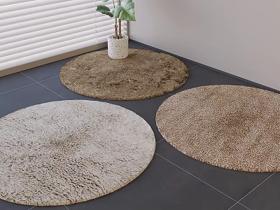 Fluffy Round Rugs In Beige And Brown Tones On Gray Tile Floor With Plant And Blinds 3d model