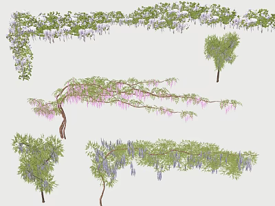 Blooming Wisteria Vines With Purple Pink Flowers And Various Branch Forms 3d model