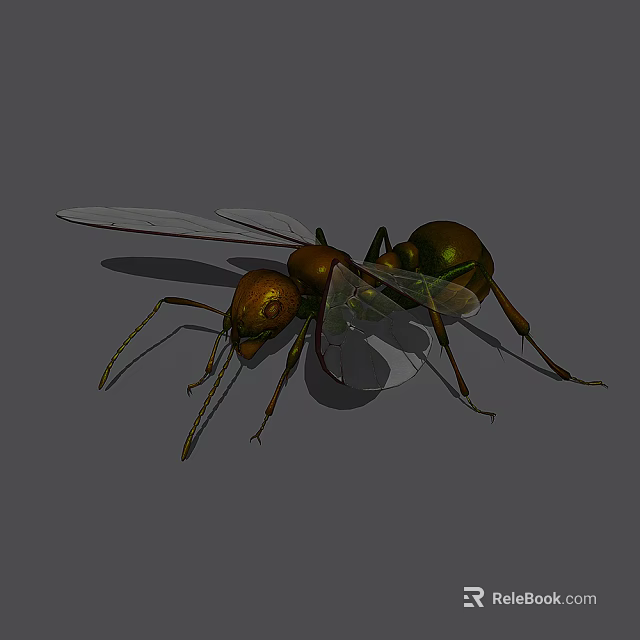 Detailed Golden Green Reptile With Transparent Wings On Gray Background 3d model 