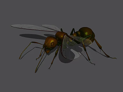 Detailed Golden Green Reptile With Transparent Wings On Gray Background 3d model