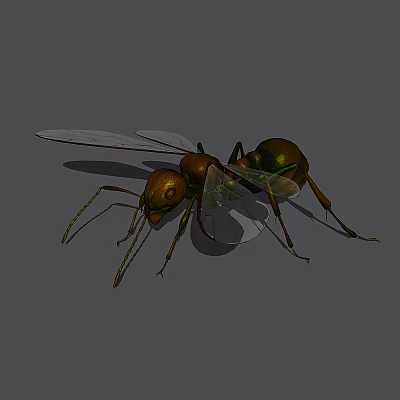 modern ant insect 3d model