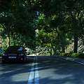 Charming Tree Lined Asphalt Road Scenery With Dappled Sunlight Beneath Lush Green Summer Tree Canopy
