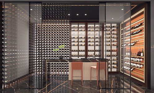 Modern Wine Cellar 3d model