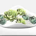 Indoor Decorative Wave Shaped White Pot With Green Succulents And White Pebbles