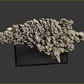 Aquatic Animal Coral Natural Branching Structure Specimen Displayed On Black Base