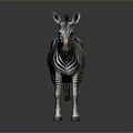 Detailed 3D Zebra Character Model For Game And Movie Scenes