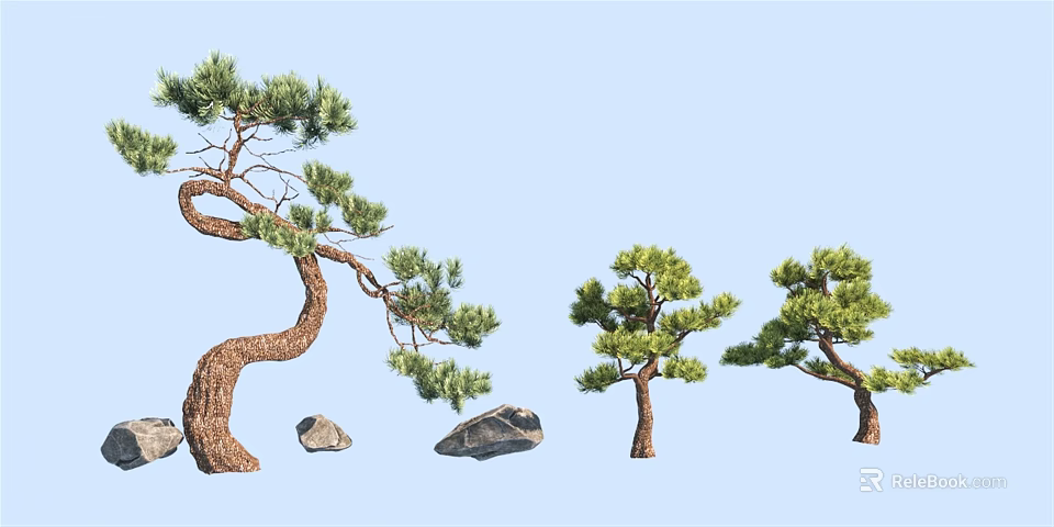 Different Types of Pine Trees with Curved Trunks and Rocks in Landscape 3d model 