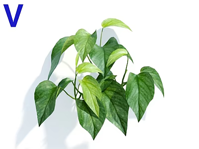 Vibrant Green Leaf Potted Plant With Lush Fresh Foliage For Indoor Home Decoration 3d model